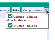 Selecionar Agenda Google