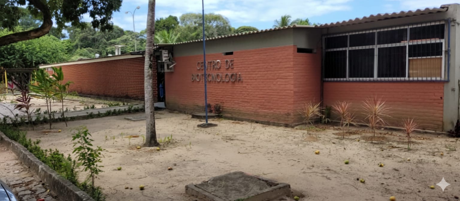 Imagem decorativa do site