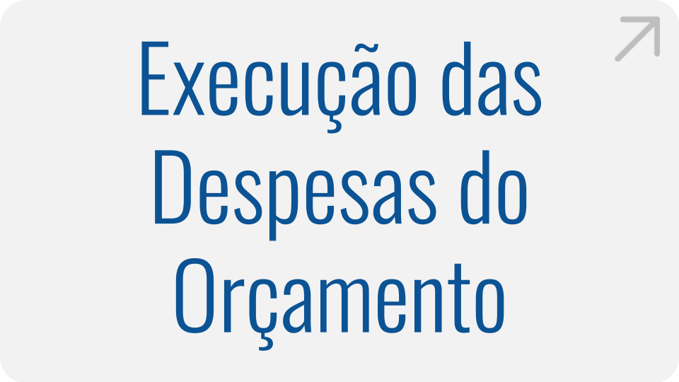 Execução das Despesas do Orçamento Execução das Despesas do Orçamento