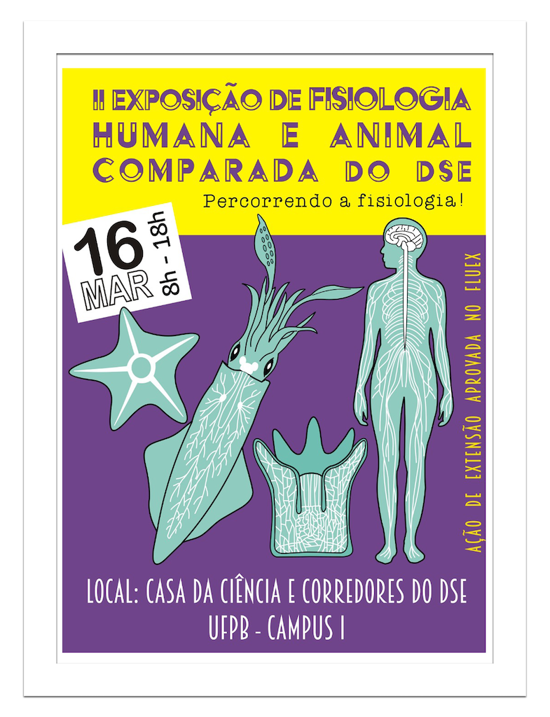 dse_exposicao.png