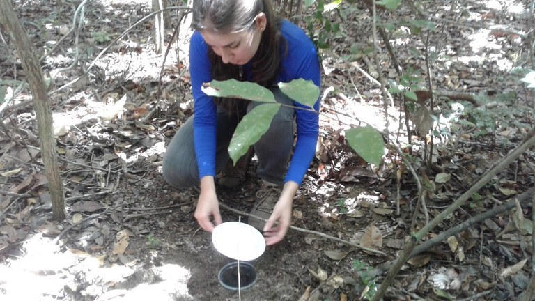 Eco_Campo 3.jpg Eco_Campo 3.jpg