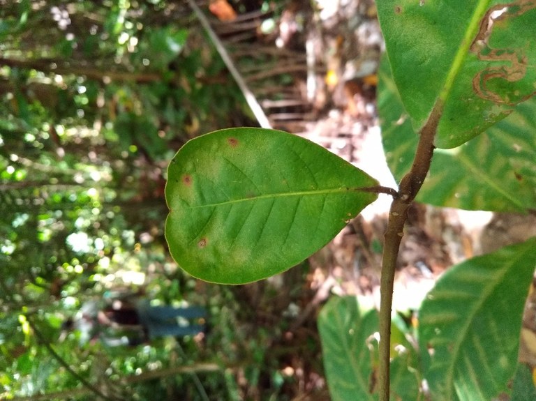 EcoCampo (21).jpg EcoCampo (21).jpg