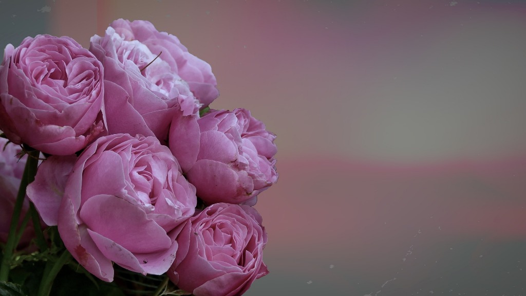 mourning-2087486_1920.jpg