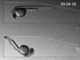 Pisces: zebrafish development first three days