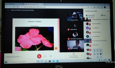 flor da vida