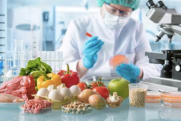 Alimentos
