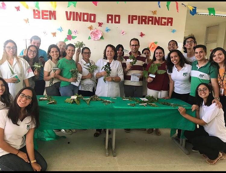 extensão 2.jpeg