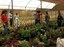 Floricultoras da Associação de Flores Vila Real_Foto de Ale Lontra_