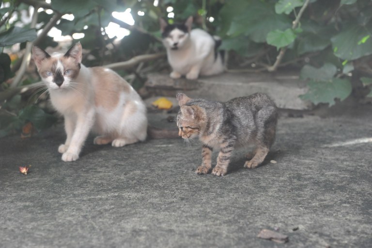 DSC_7373.JPG