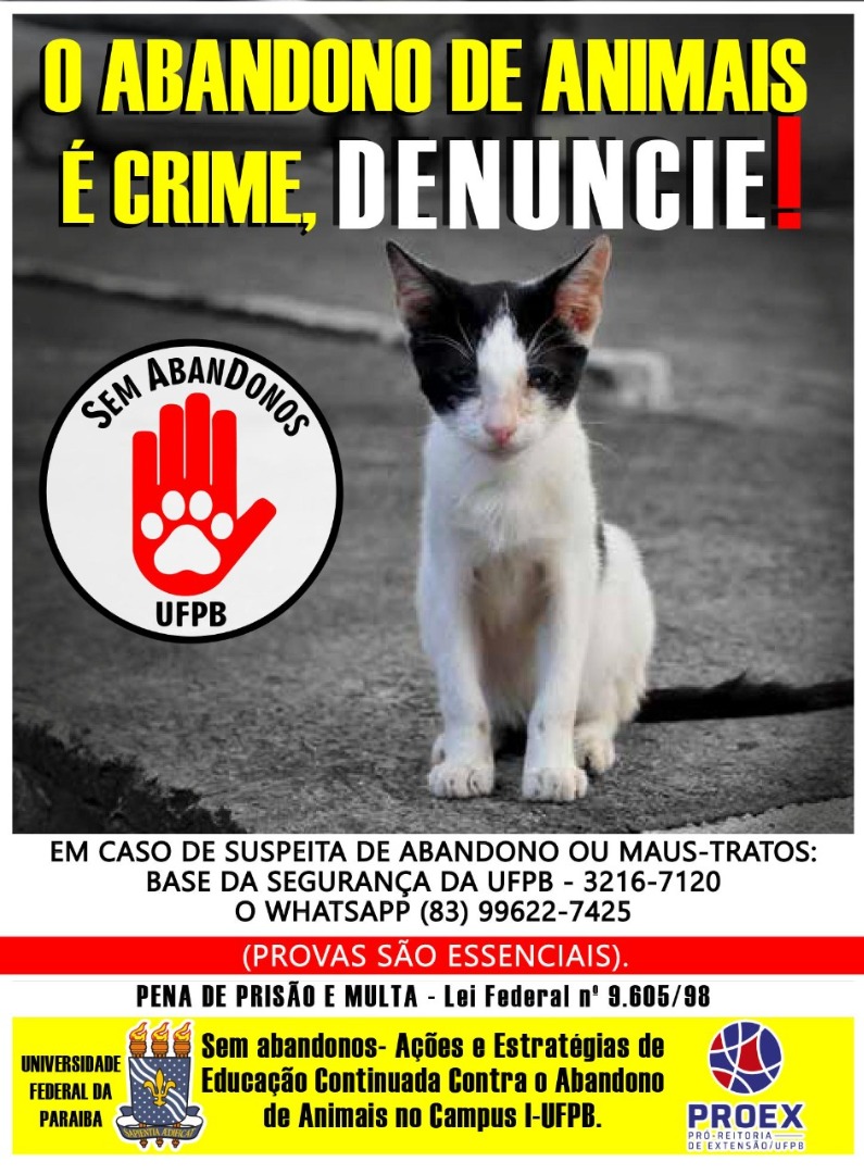 Denúncias